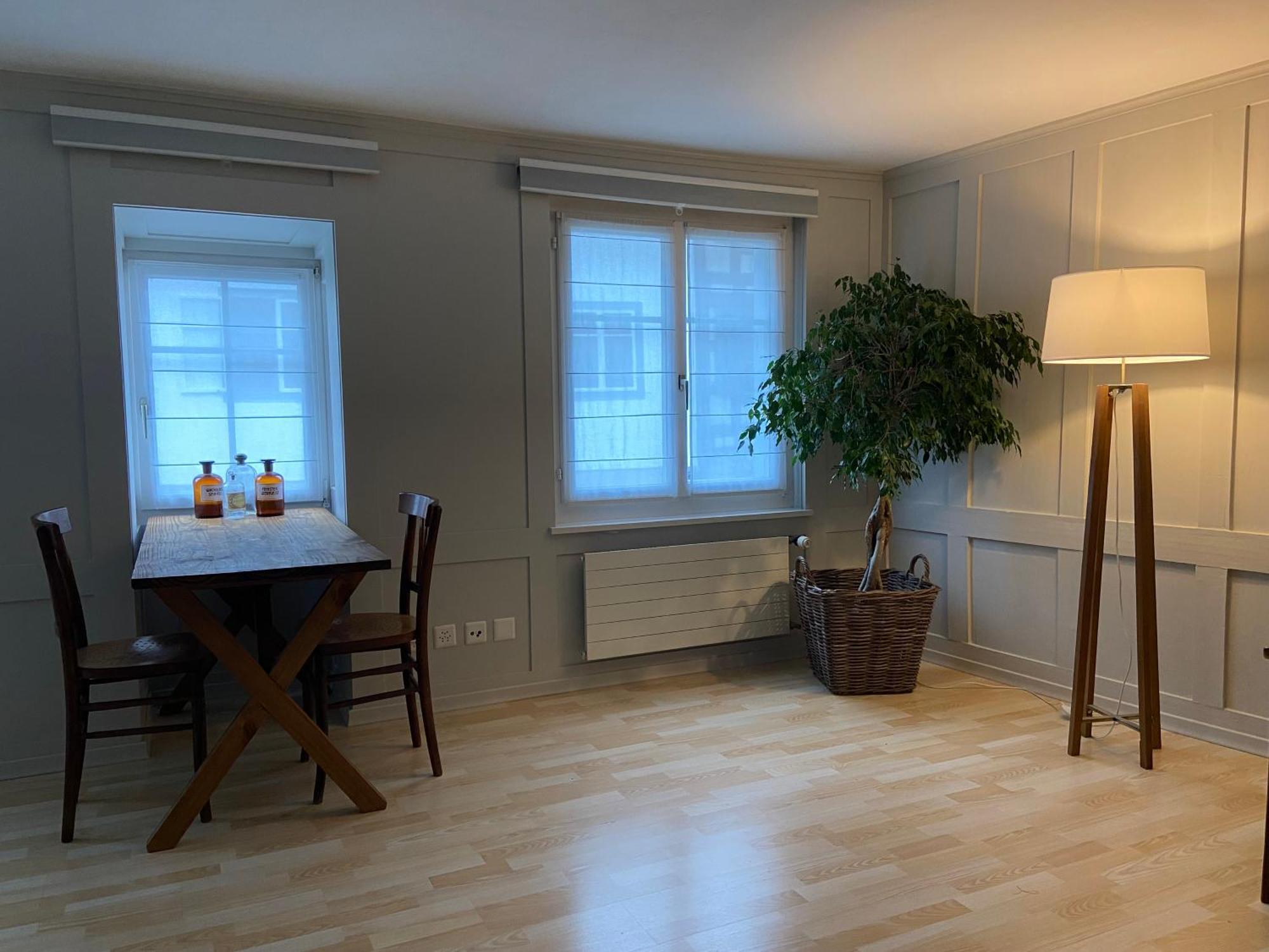שטיין אם ריין Understadt 14 Guesthouse מראה חיצוני תמונה